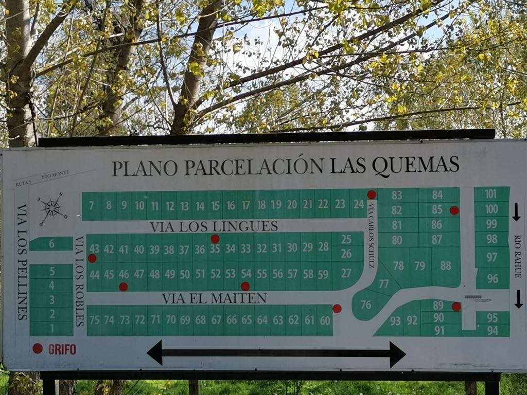 Imagen 6